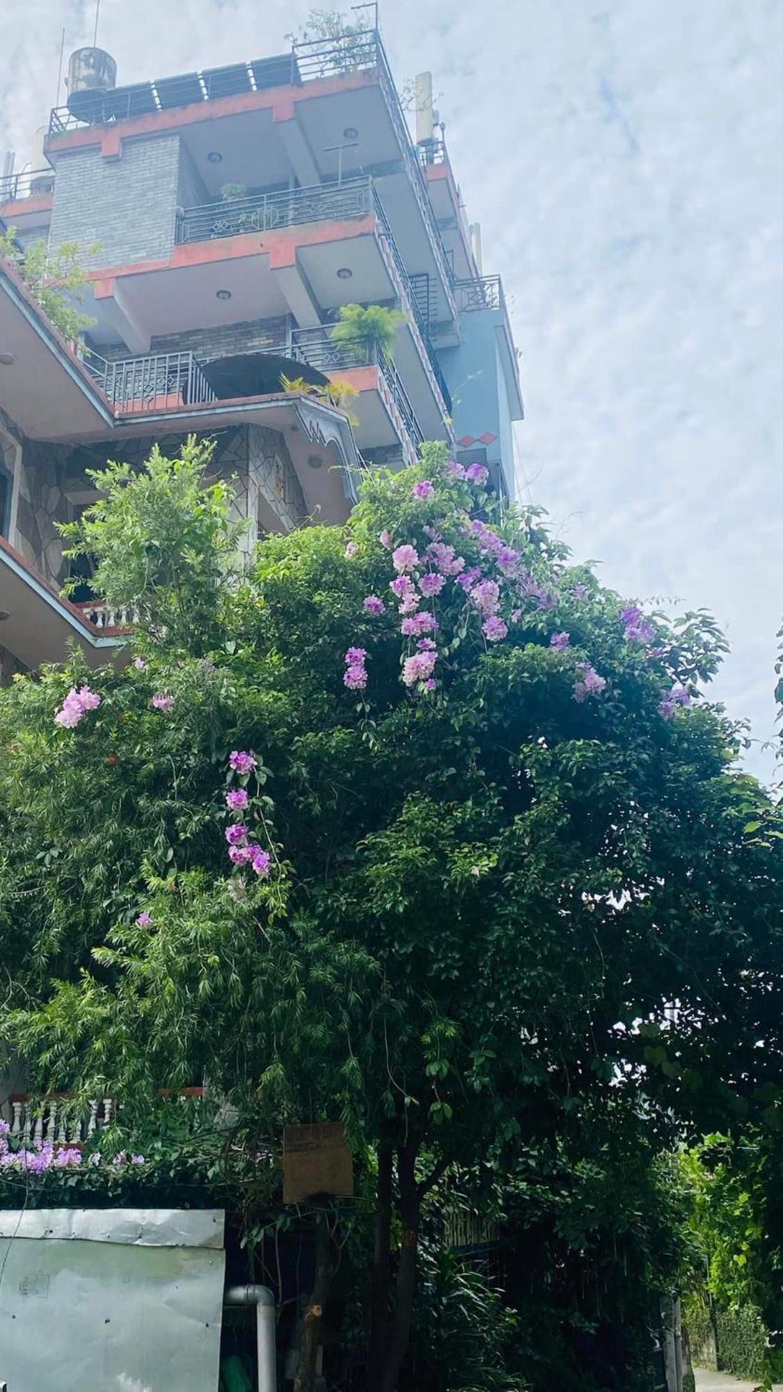 河滨公园酒店 博卡拉 外观 照片